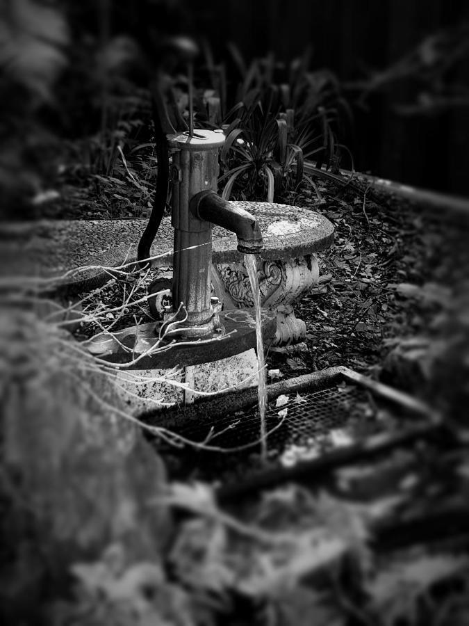 Enchanted Escape Picton Eksteriør bilde
